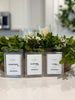 Coconut Wax Melts
