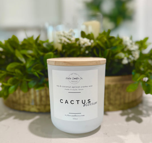 cactus blossom