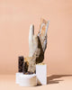 frankincense & myrrh