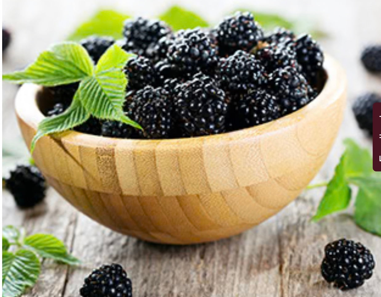 blackberry sage