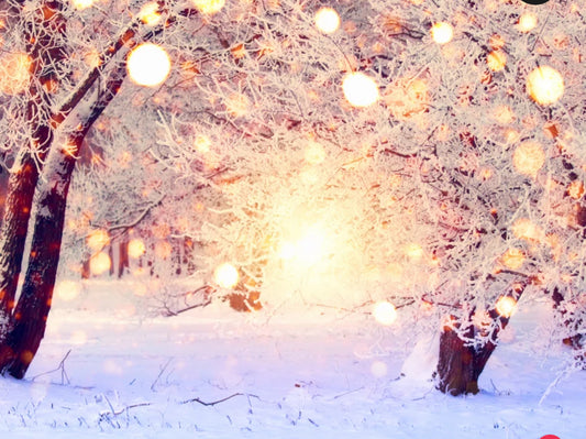 snow petals & praline