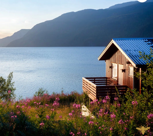 morning on the lake